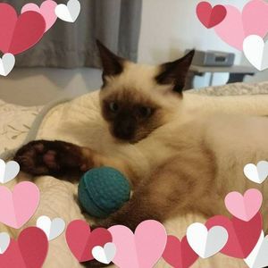 Meet your Posher, Leeann